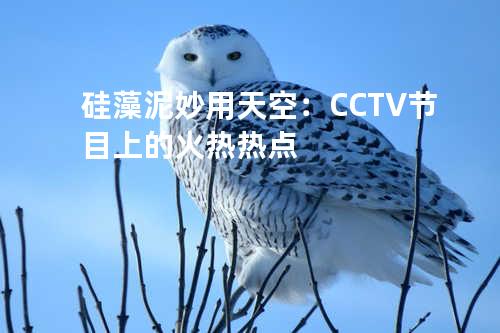 硅藻泥妙用天空：CCTV节目上的火热热点