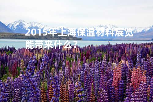 2015年上海保温材料展览能带来什么？